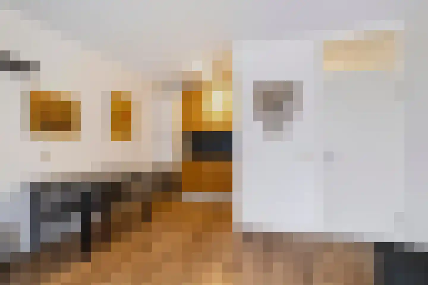 Willemstraat 51 D Eindhoven thumbnail 12