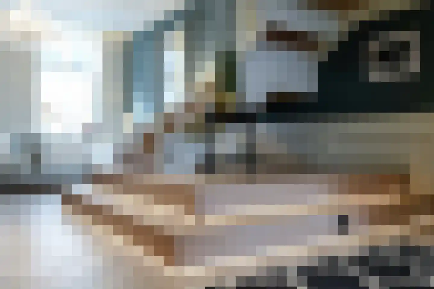 Willemstraat 51 Den Haag thumbnail 11