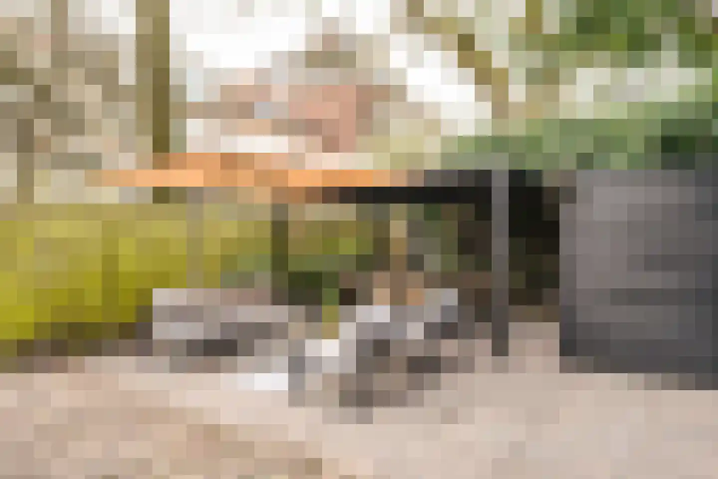Willemstraat 51 Den Haag thumbnail 31
