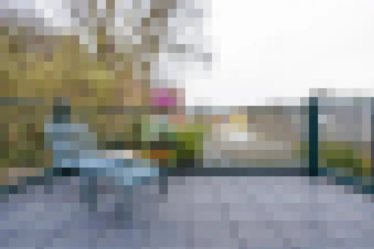 Willemstraat 51 Den Haag thumbnail 39