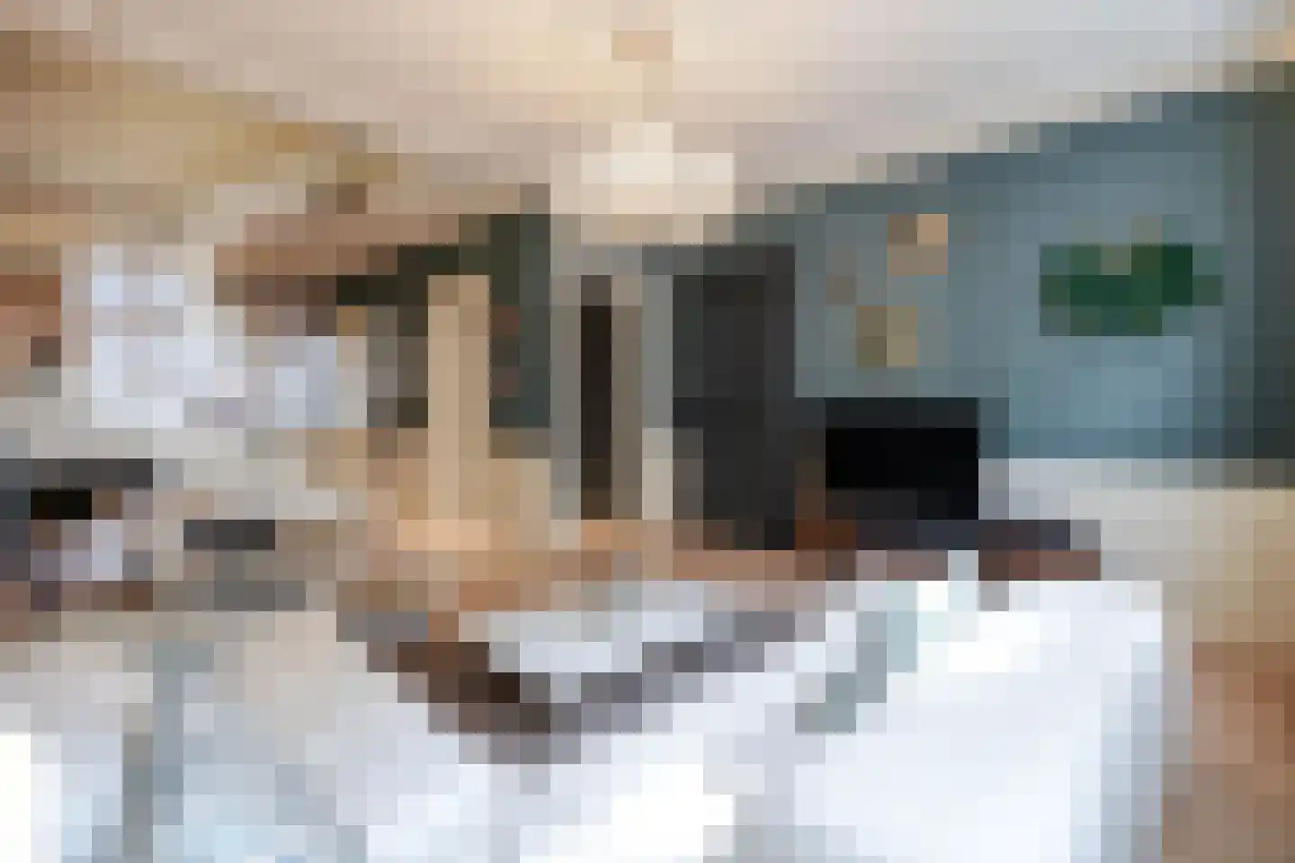 Willemstraat 51 Den Haag thumbnail 4