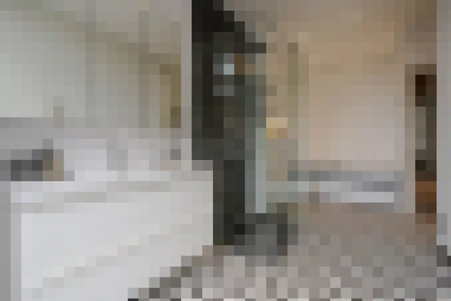 Willemstraat 51 Den Haag thumbnail 51