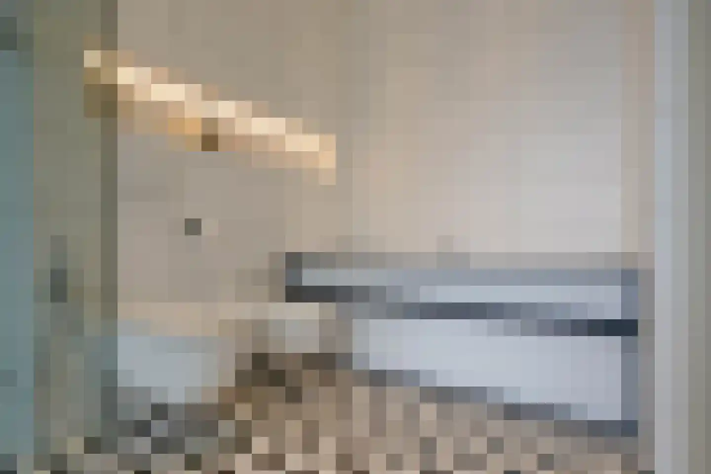 Willemstraat 51 Den Haag thumbnail 52