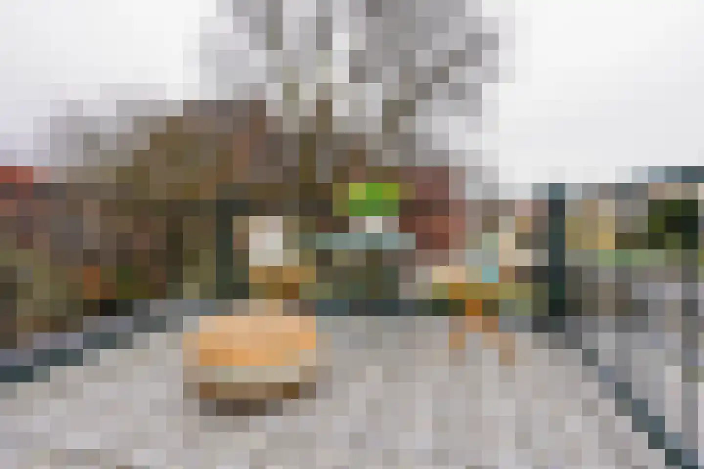 Willemstraat 51 Den Haag thumbnail 59