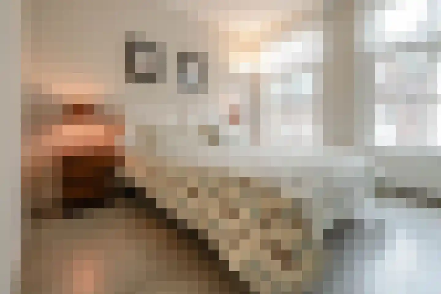 Willemstraat 51 Den Haag thumbnail 61