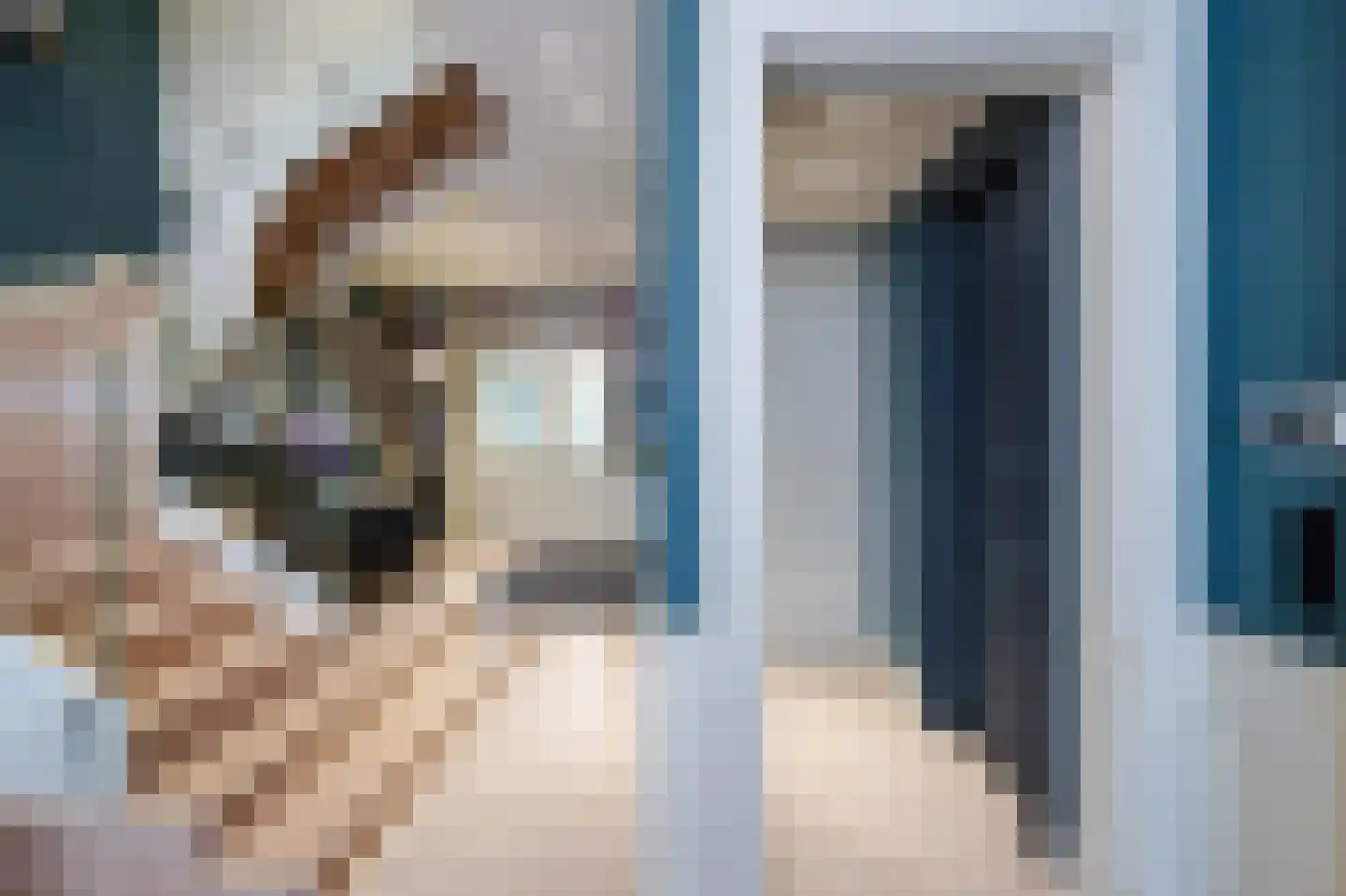Willemstraat 51 Den Haag thumbnail 8