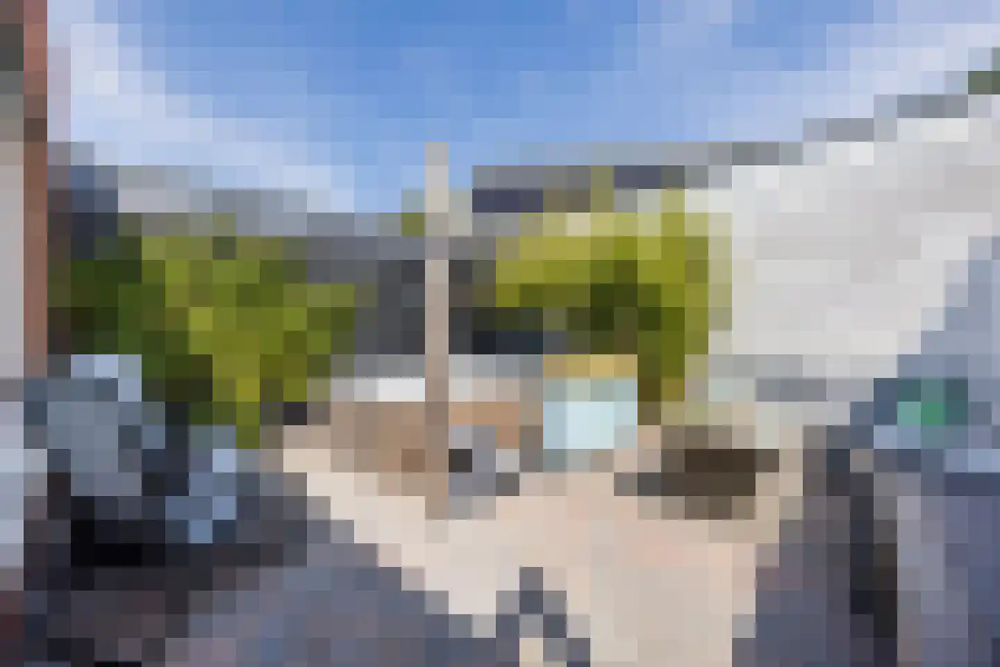 Willemstraat 53 e Roosendaal thumbnail 27