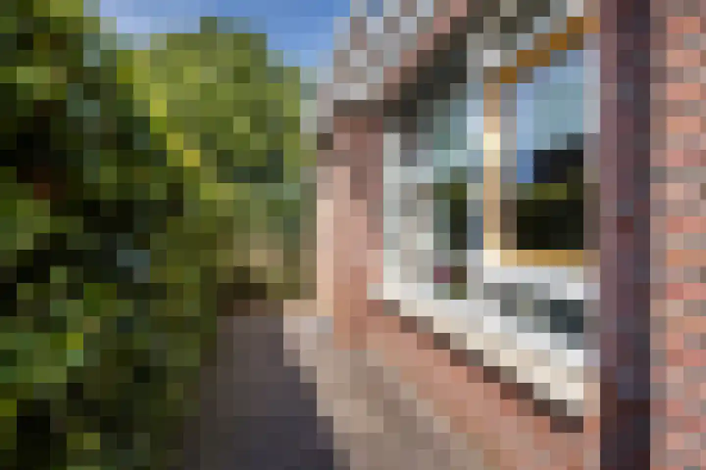 Willemstraat 53 e Roosendaal thumbnail 6