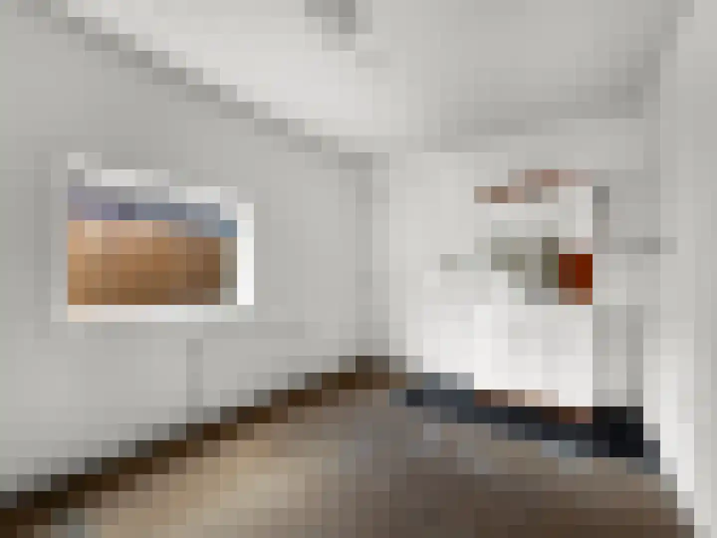 Willemstraat 53 Voorburg thumbnail 13