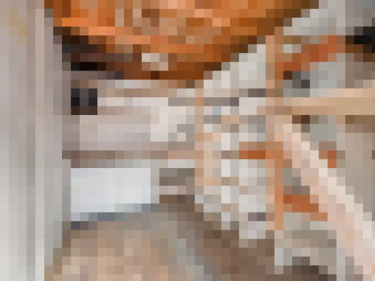 Willemstraat 53 Voorburg thumbnail 20