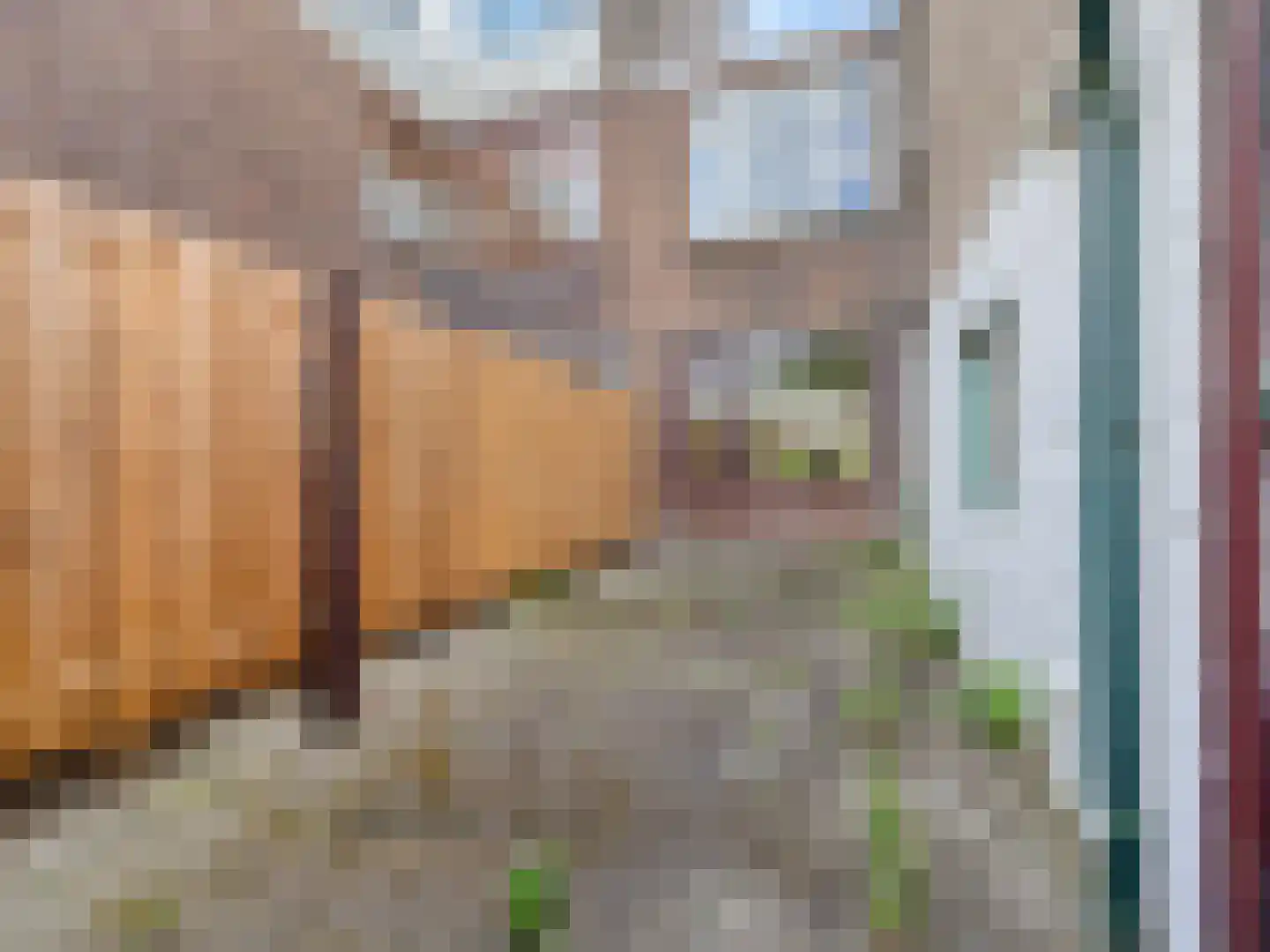 Willemstraat 53 Voorburg thumbnail 21