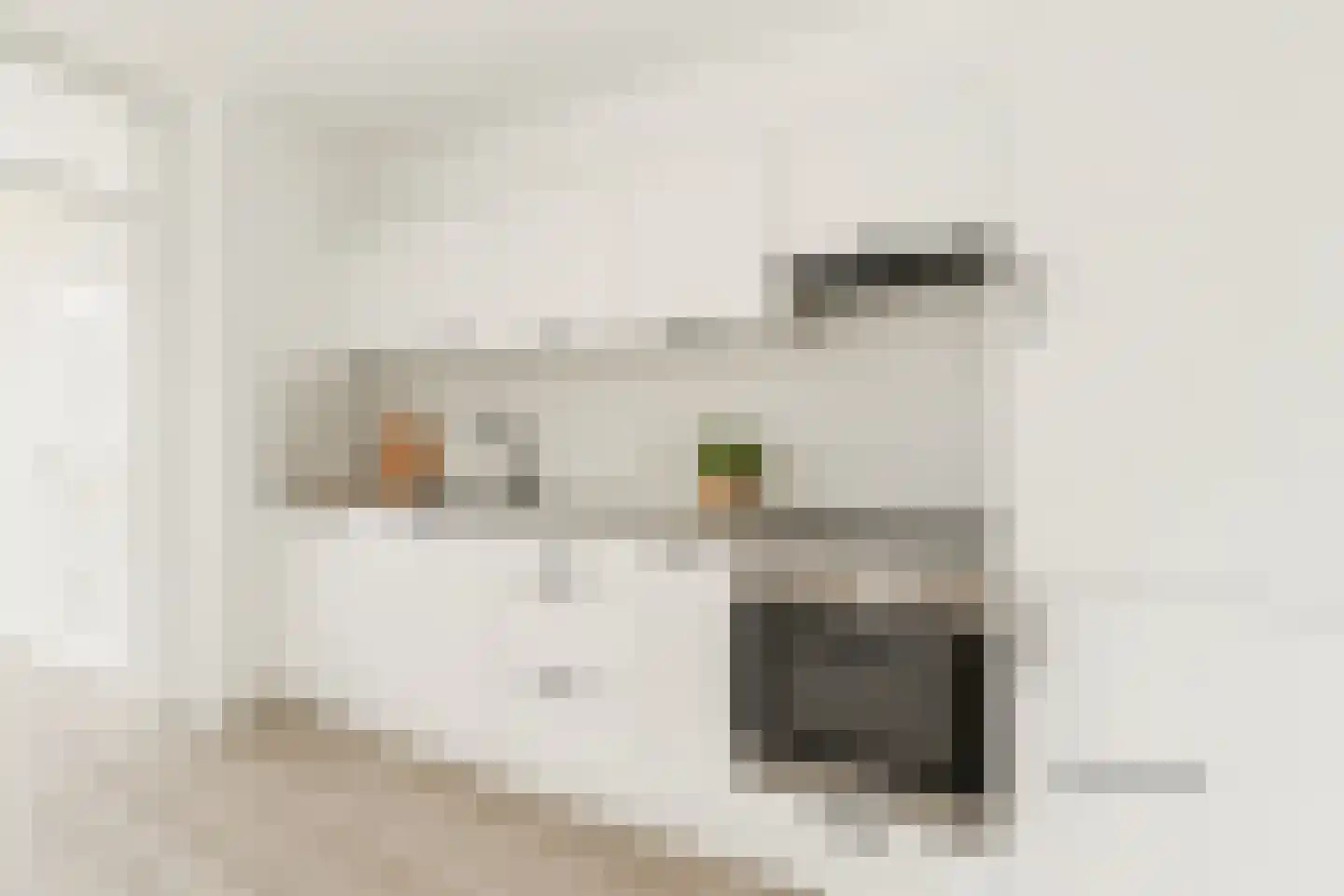 Willemstraat 53 Voorburg thumbnail 4