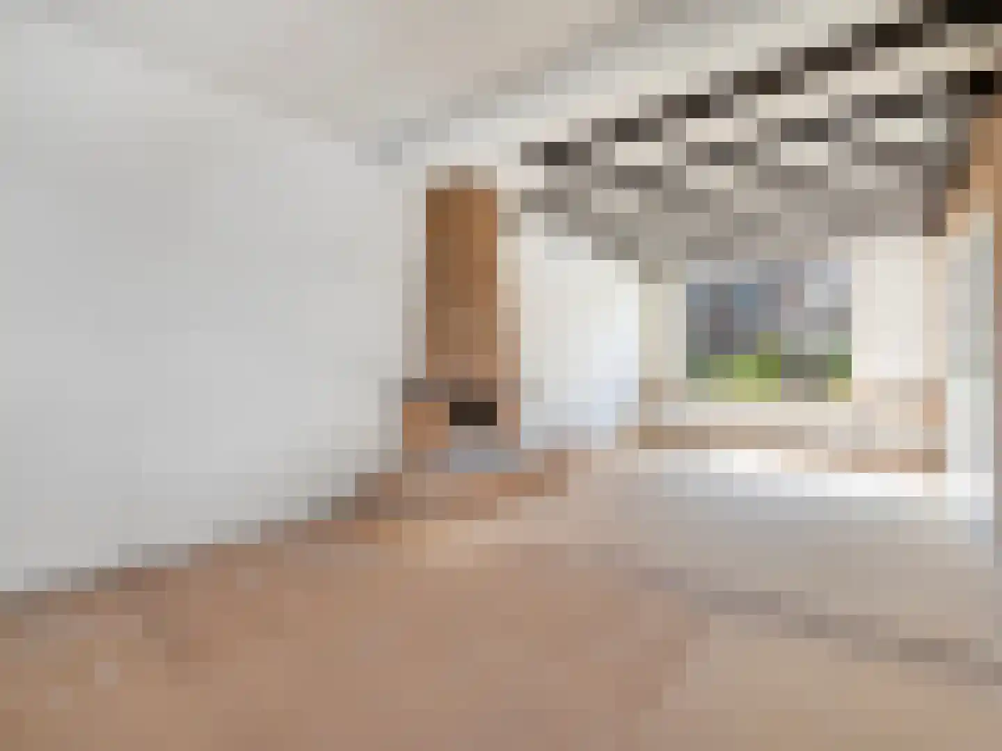 Willemstraat 53 Voorburg thumbnail 7