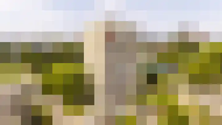 Willemstraat 54 Zoetermeer thumbnail 17