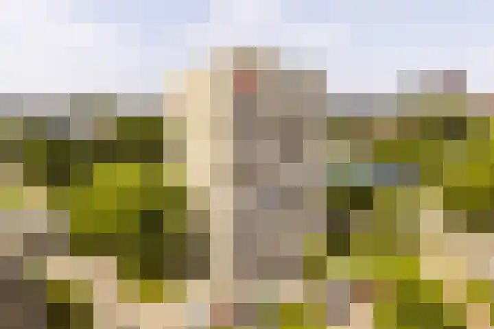 Willemstraat 54 Zoetermeer thumbnail 4