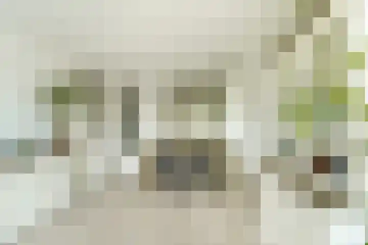 Willemstraat 54 Zoetermeer thumbnail 8