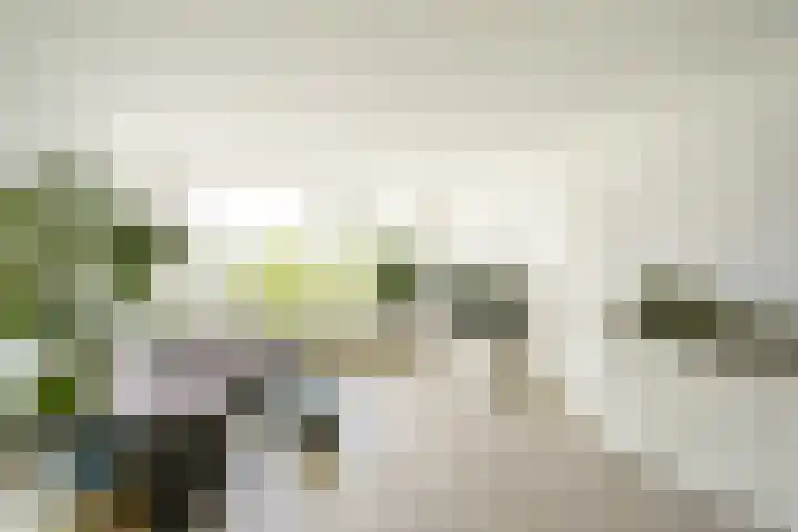 Willemstraat 54 Zoetermeer thumbnail 9