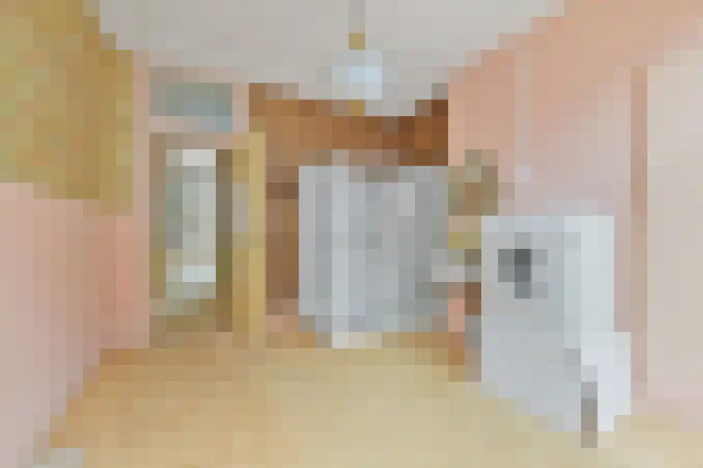 Willemstraat 55 Den Haag thumbnail 32