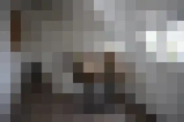 Willemstraat 59 Eindhoven thumbnail 11