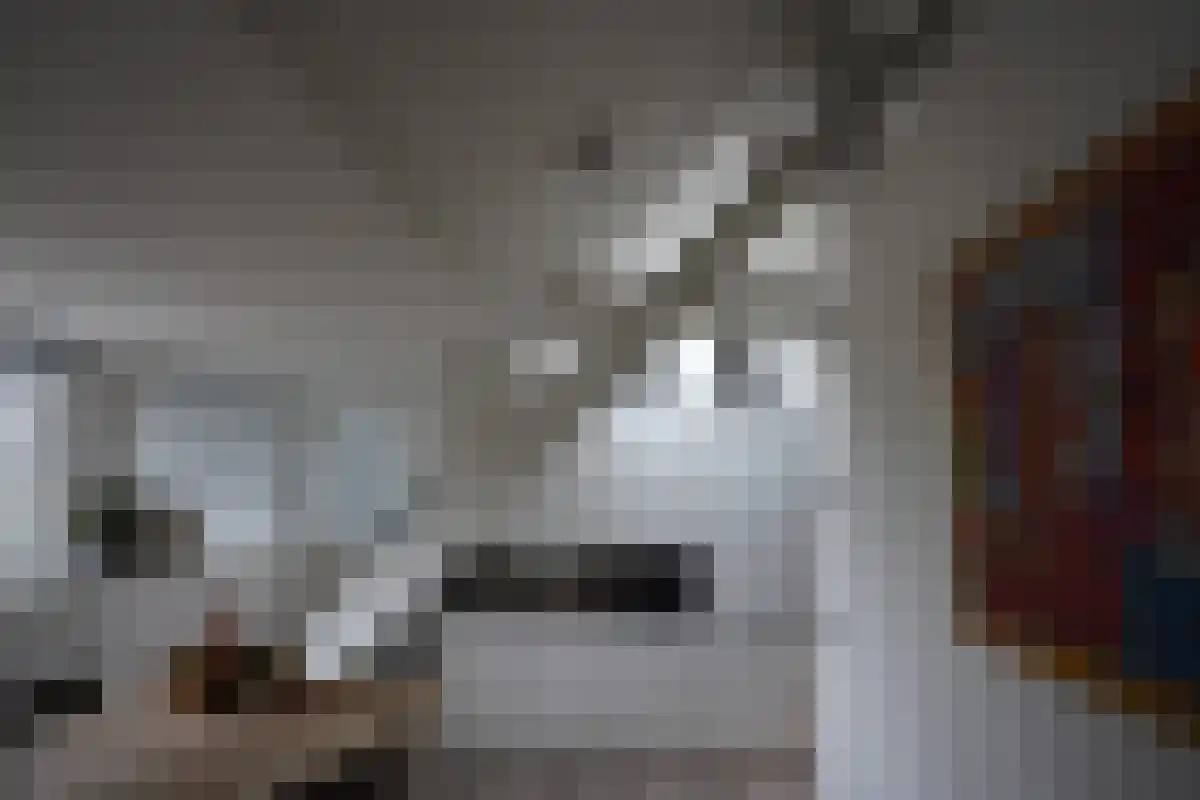 Willemstraat 59 Eindhoven thumbnail 6