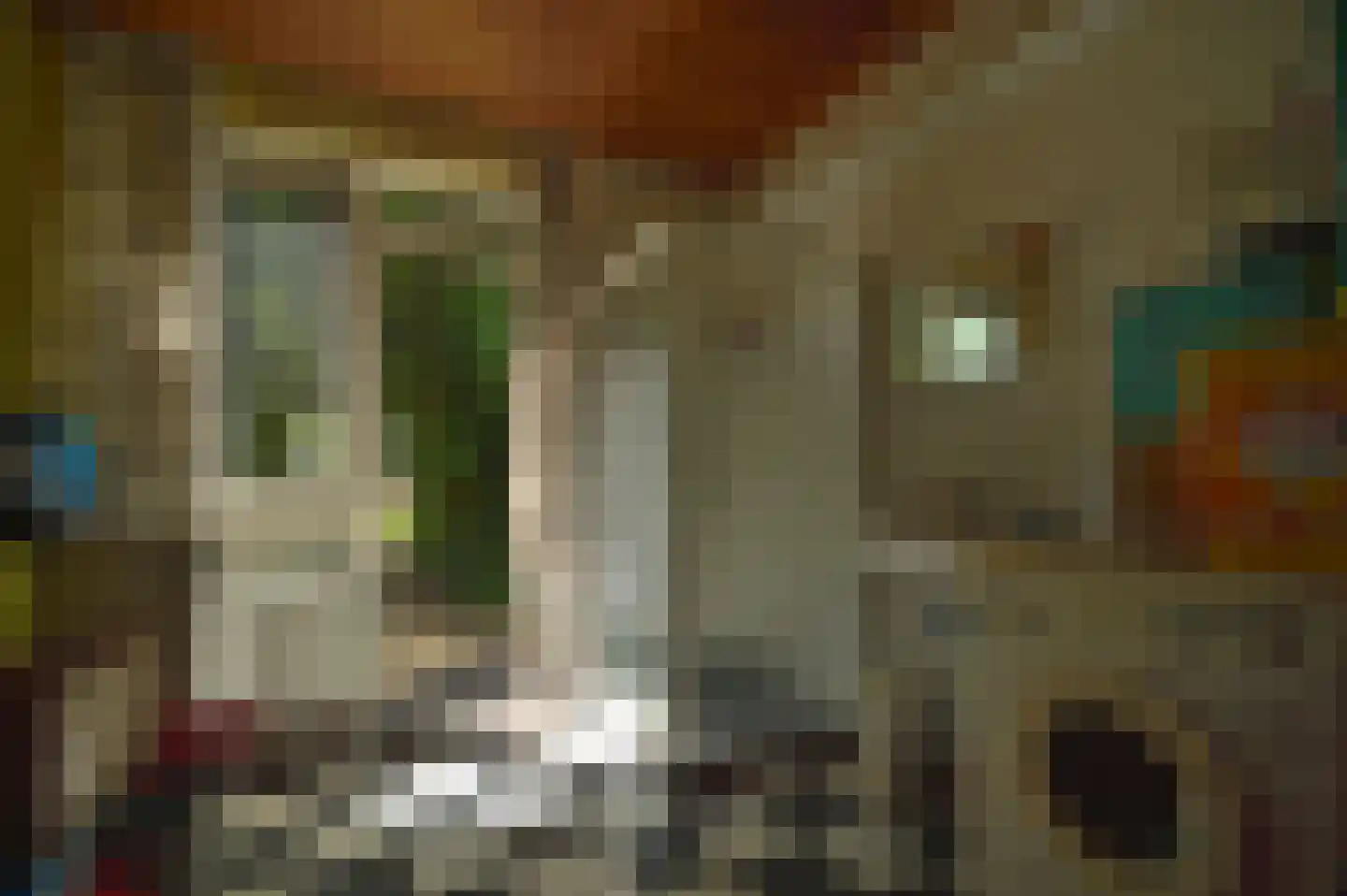 Willemstraat 59 Heerlen thumbnail 12