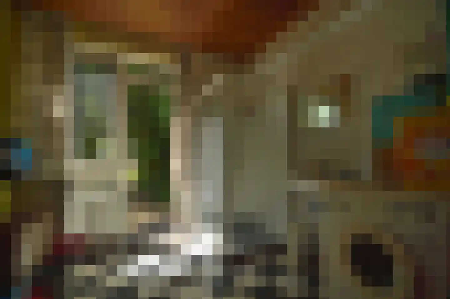 Willemstraat 59 Heerlen thumbnail 9