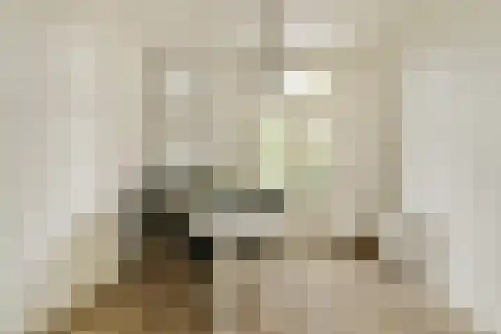 Willemstraat 6 Dordrecht thumbnail 20