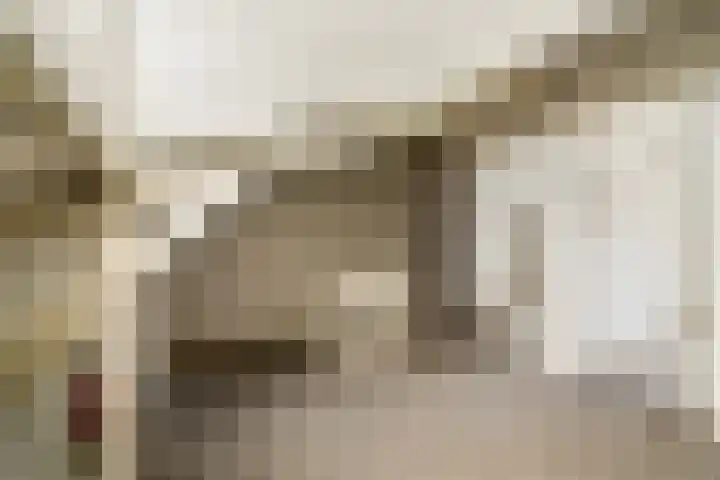Willemstraat 6 Dordrecht thumbnail 31
