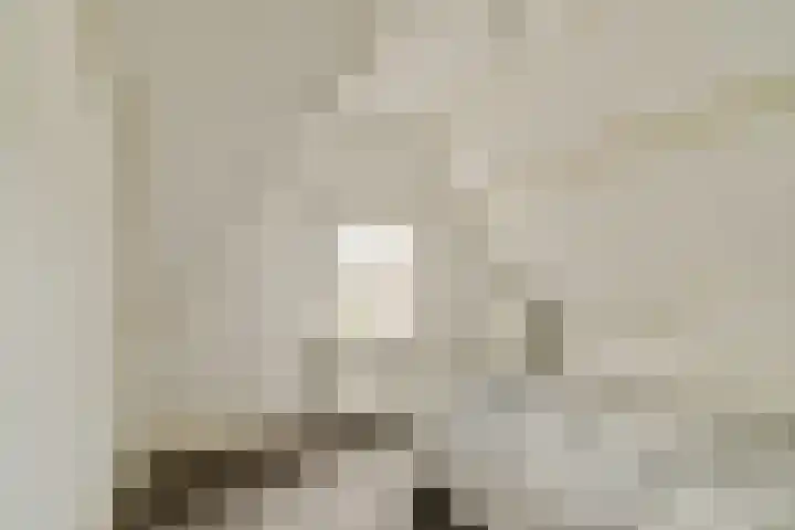 Willemstraat 6 Dordrecht thumbnail 33