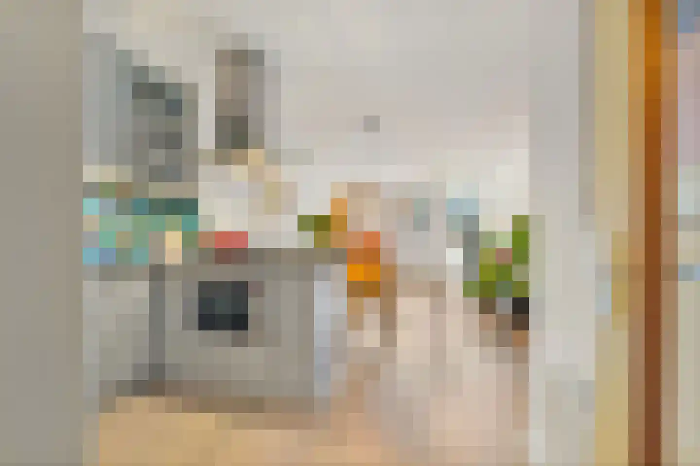Willemstraat 62 F Den Haag thumbnail 24