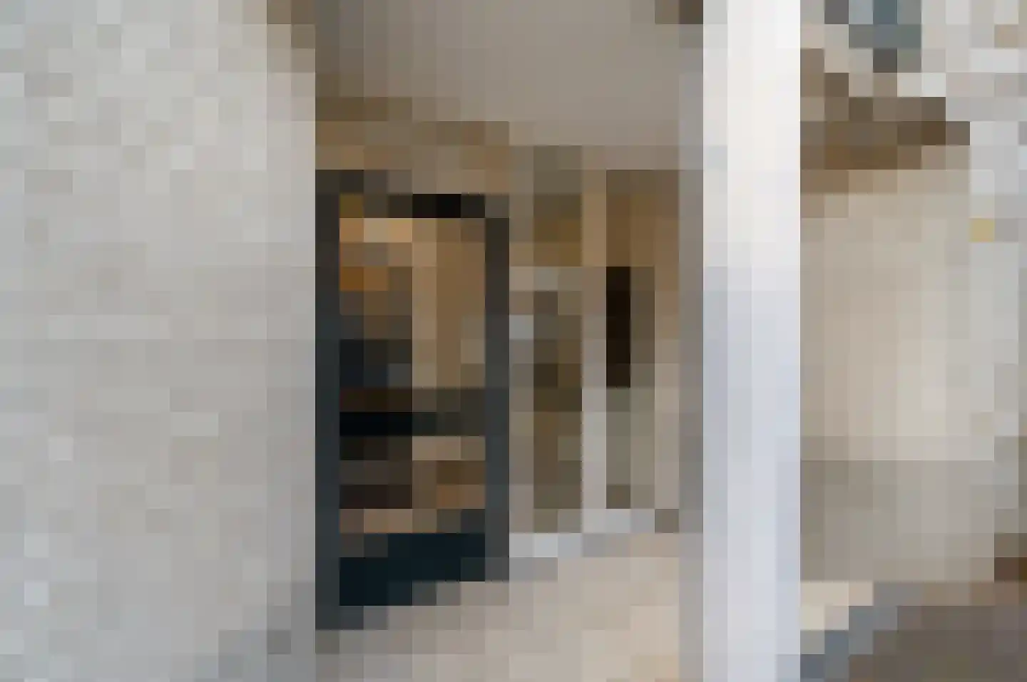 Willemstraat 62 F Den Haag thumbnail 8
