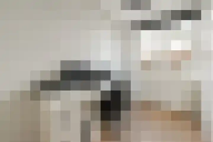 Willemstraat 65 Voorburg thumbnail 11