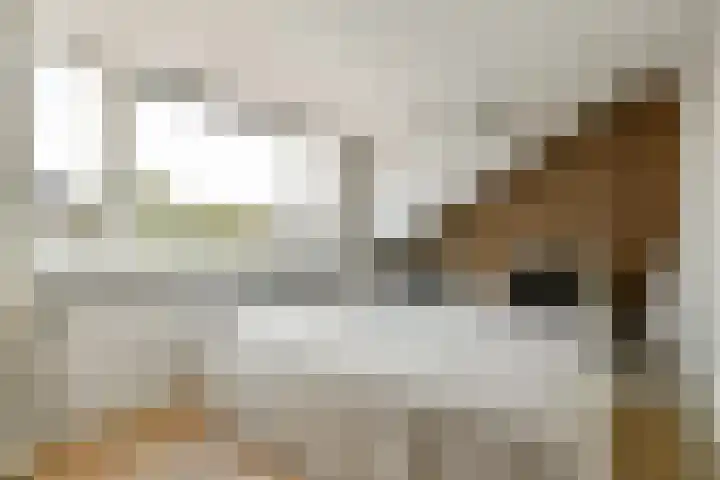 Willemstraat 65 Voorburg thumbnail 17