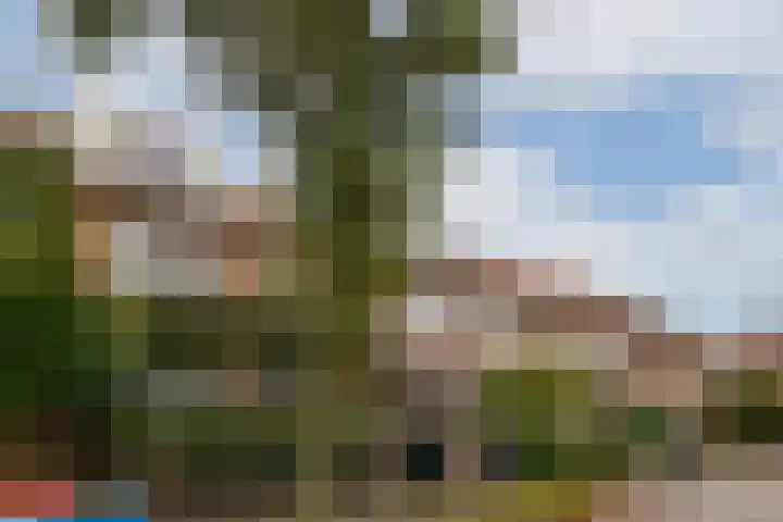 Willemstraat 65 Voorburg thumbnail 24