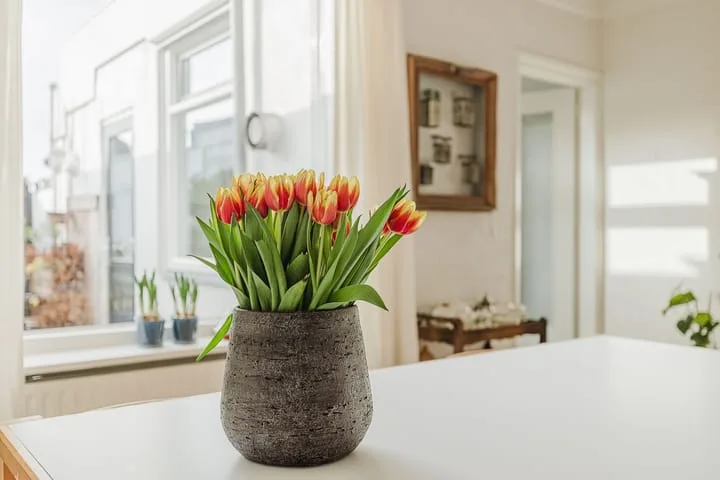 Willemstraat 66 Roosendaal thumbnail 15
