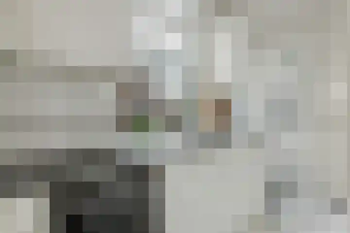 Willemstraat 66 Roosendaal thumbnail 19