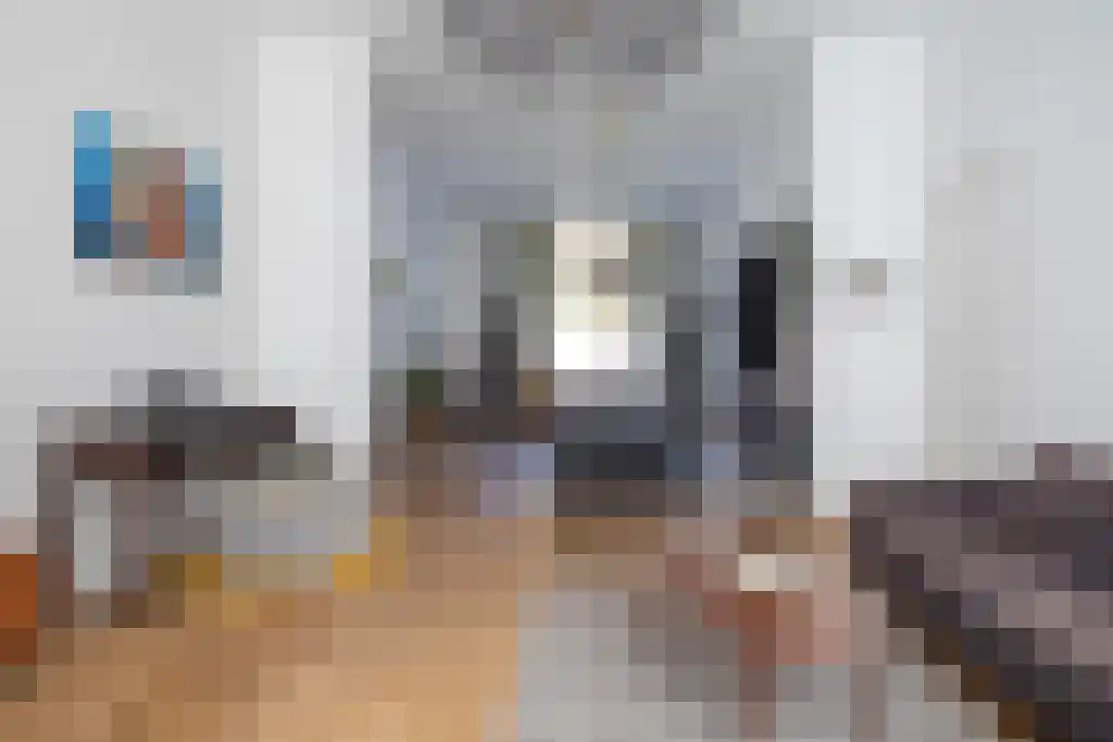 Willemstraat 71 Den Haag thumbnail 5