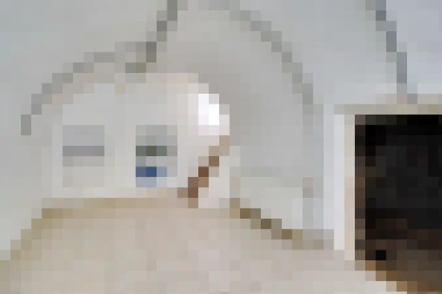 Willemstraat 8 Utrecht thumbnail 12