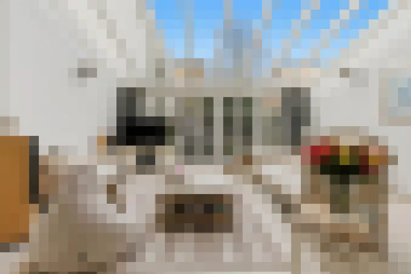 Willemstraat 86 Den Haag thumbnail 10