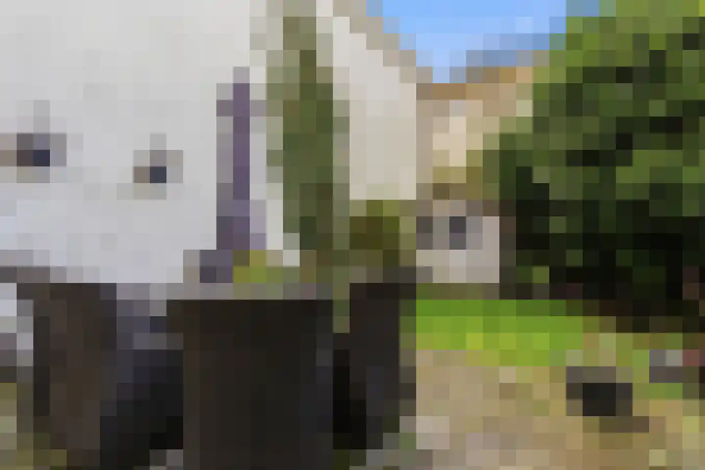 Willemstraat 86 Den Haag thumbnail 12