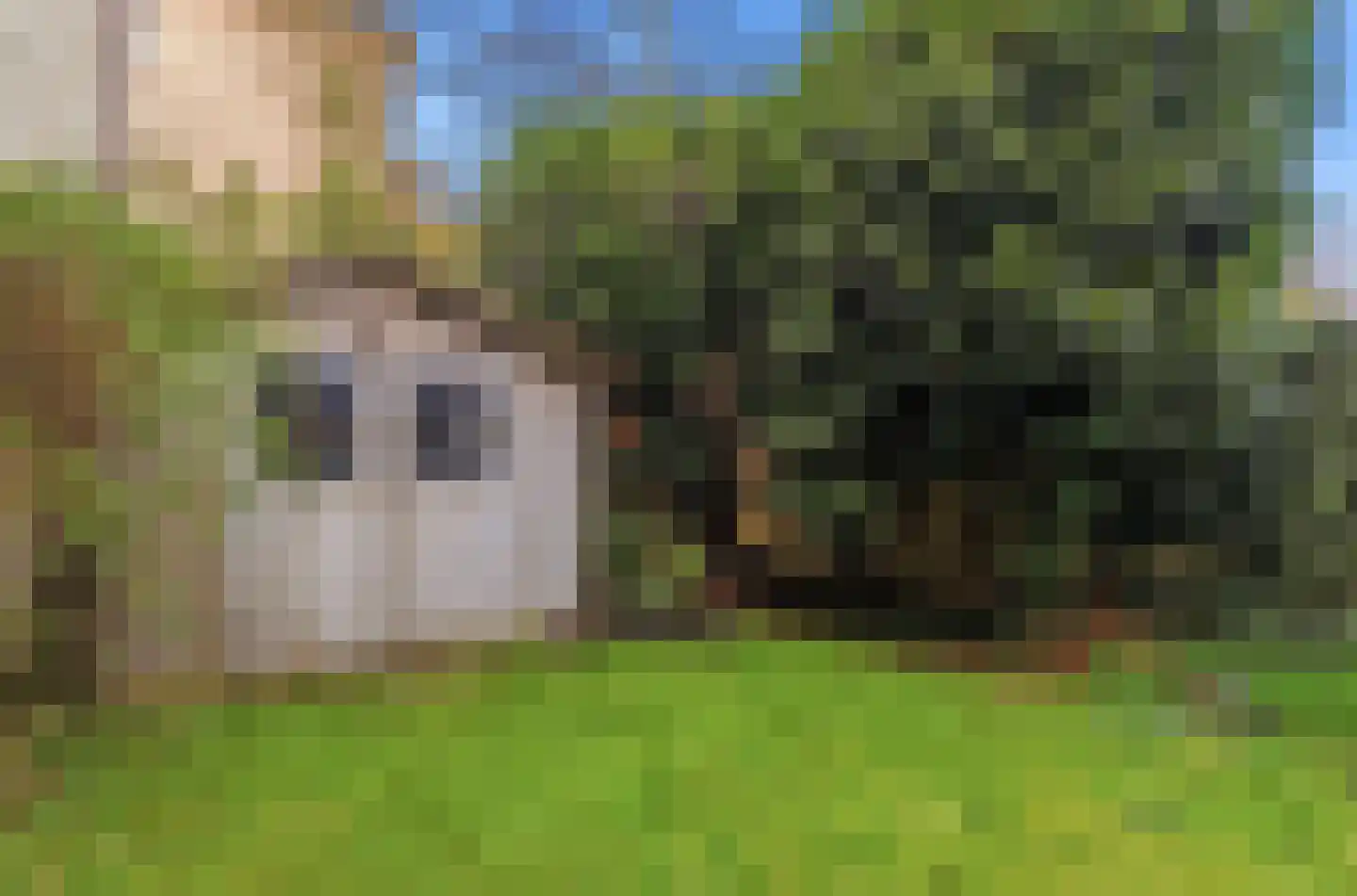 Willemstraat 86 Den Haag thumbnail 13