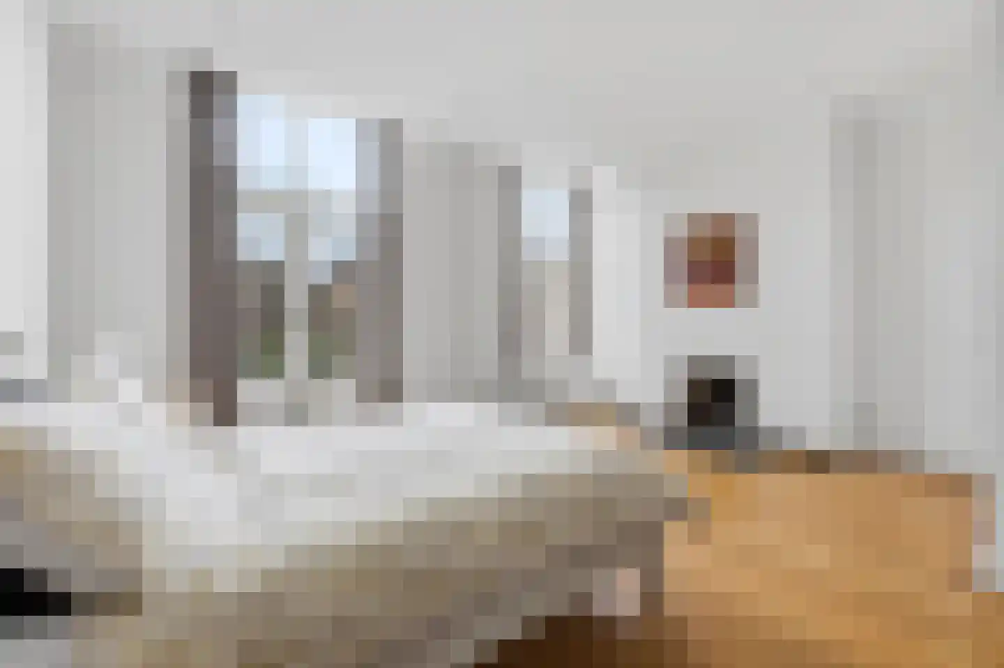 Willemstraat 86 Den Haag thumbnail 17