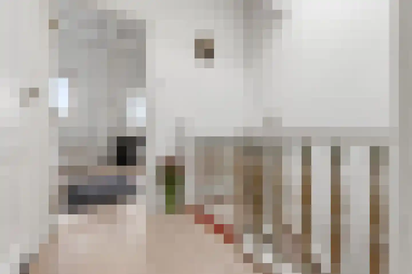 Willemstraat 86 Den Haag thumbnail 31
