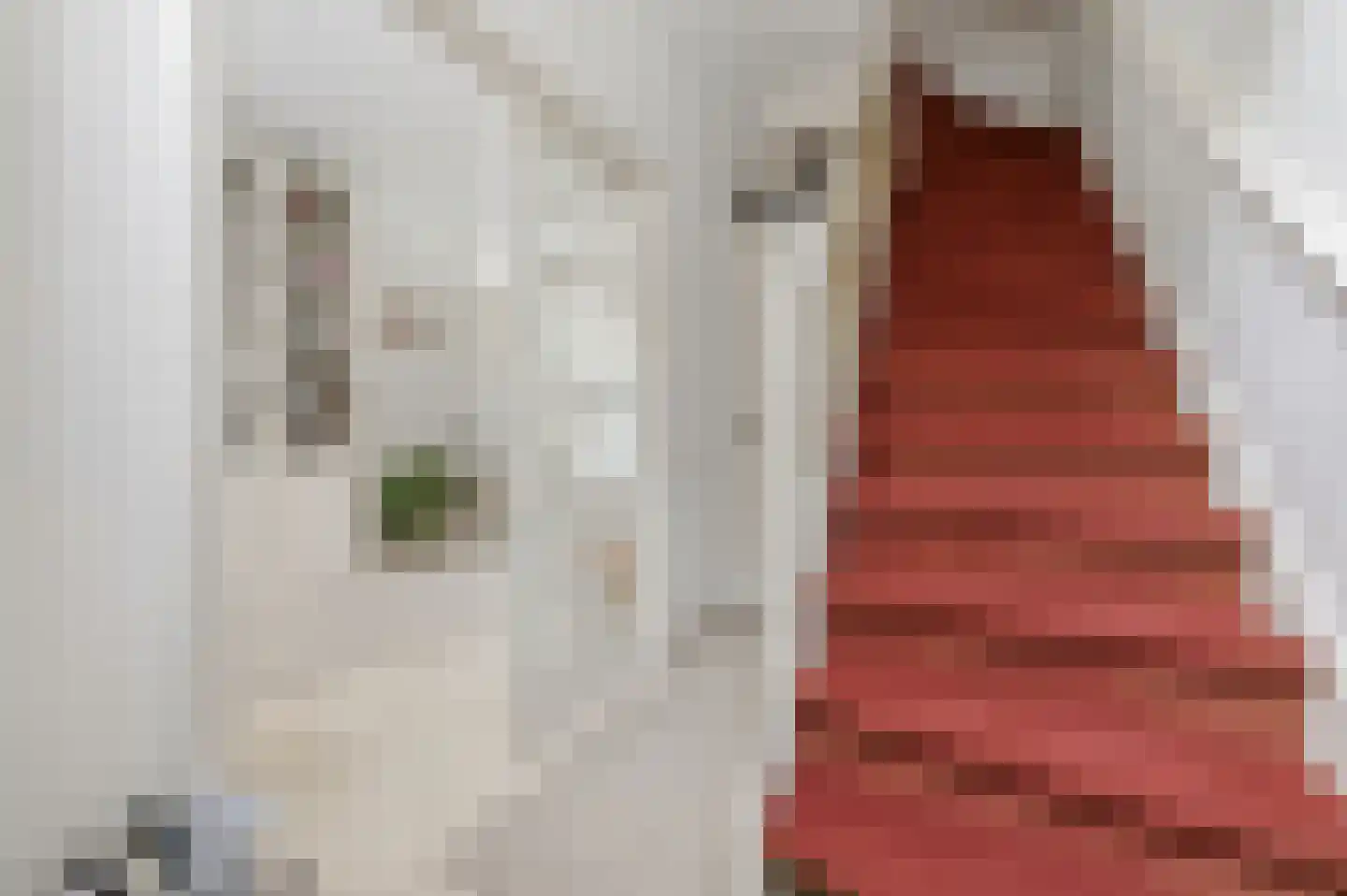 Willemstraat 86 Den Haag thumbnail 5