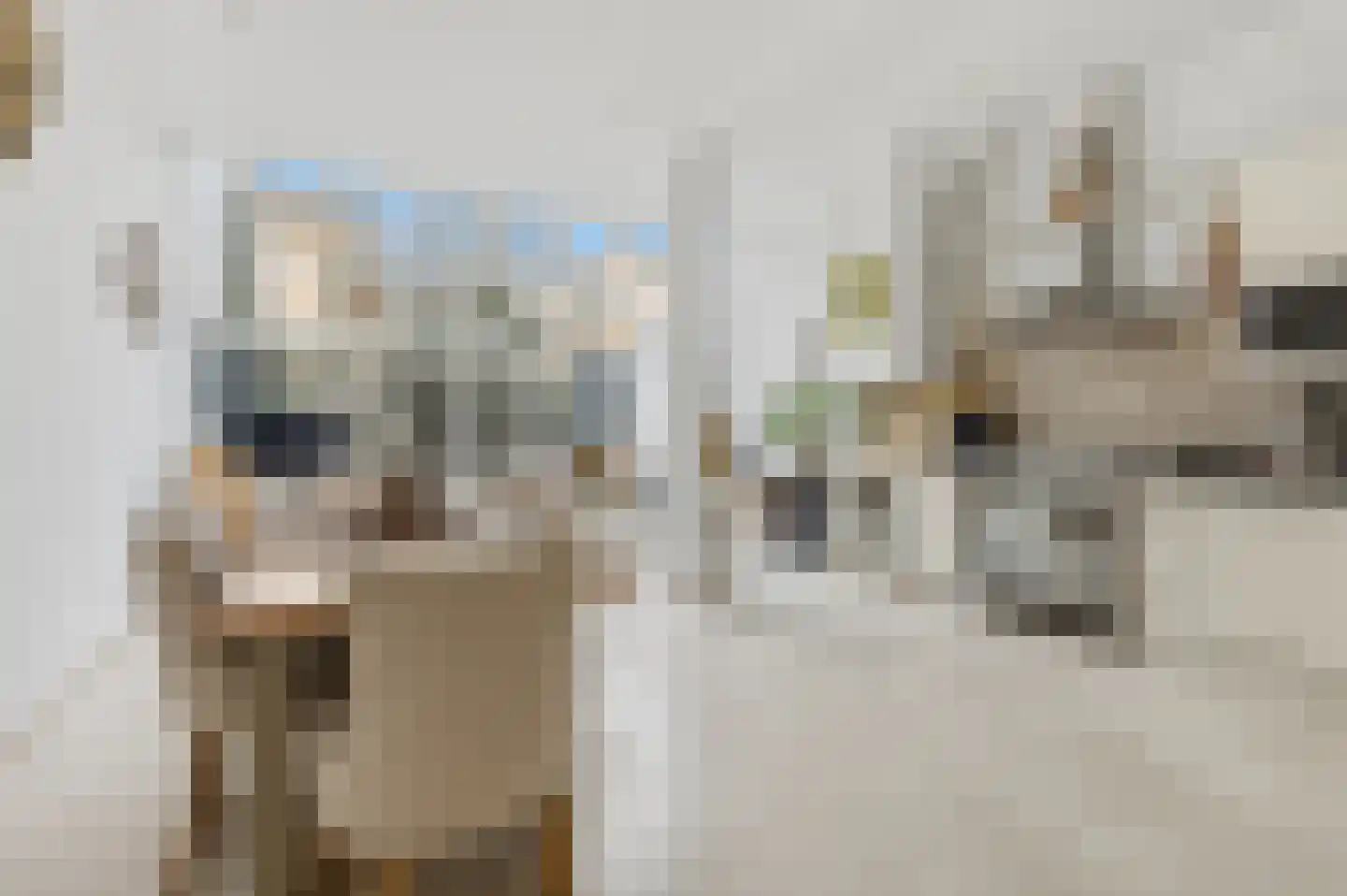 Willemstraat 86 Den Haag thumbnail 7