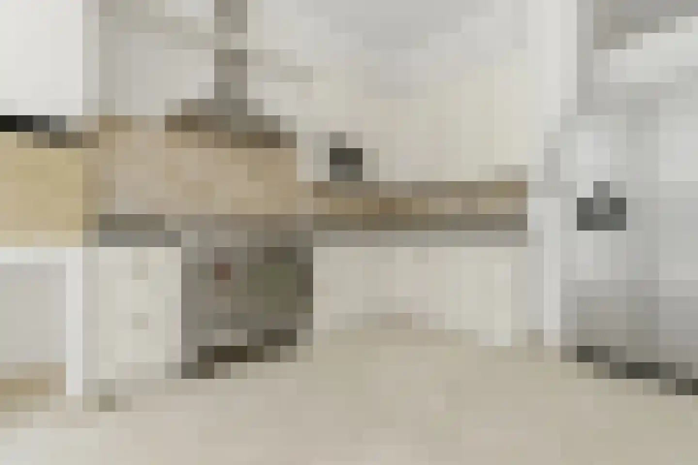 Willemstraat 86 Den Haag thumbnail 8