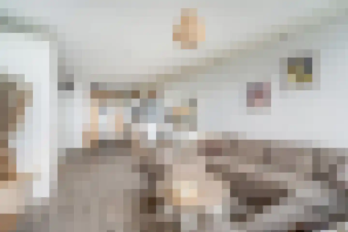 Willemstraat 87 Zoetermeer thumbnail 31