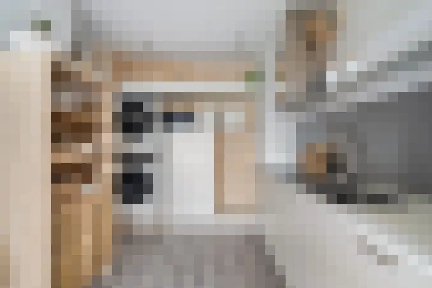 Willemstraat 87 Zoetermeer thumbnail 34