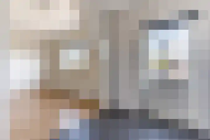 Willemstraat 88 Eindhoven thumbnail 6