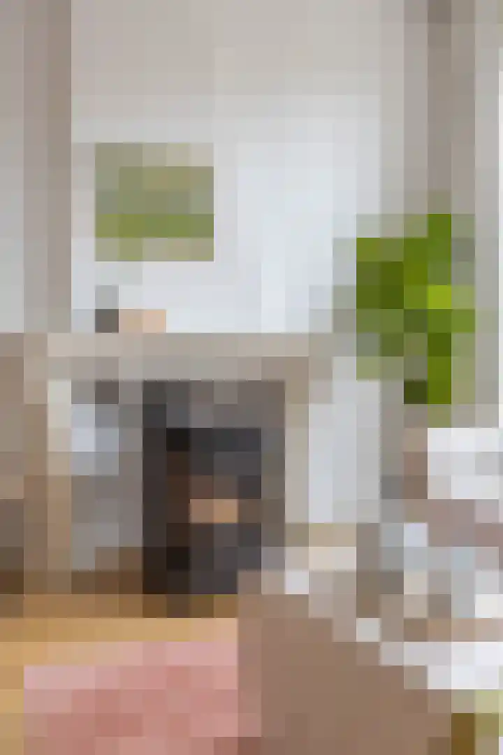 Willemstraat 9 Groningen thumbnail 14
